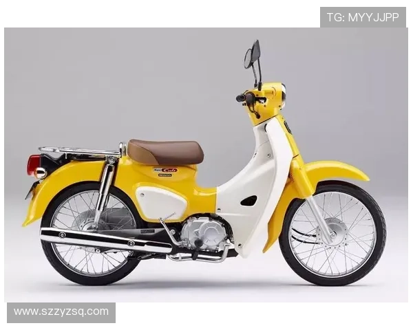 17500元！2022款Super Cub 110 Pro日本发布